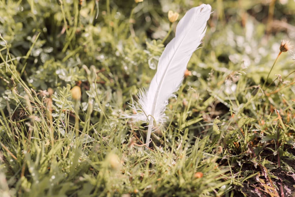 Resy Leuverink | ReLevant beleid