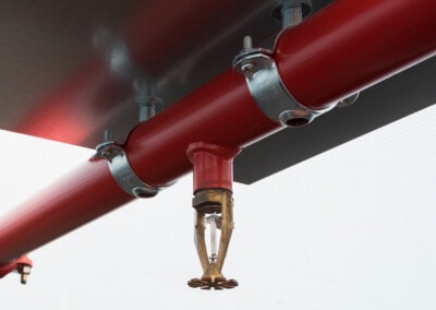 ZP Twente Magazine: Andrea Loot | Dreamlogic Design